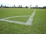 img_1471-thumbnail2.jpg